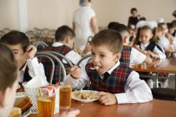 В соответствии с задачей, поставленной Президентом Российской Федерации в Послании Федеральному Собранию, все учащиеся начальных классов (с 1-го по 4-й) должны быть обеспечены бесплатным горячим питанием не реже одного раза в день